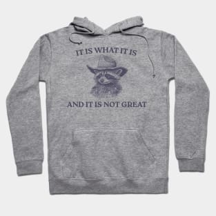 It Is What It Is And It Is Not Great Hoodie